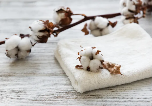 Vai Cotton Fabric 100