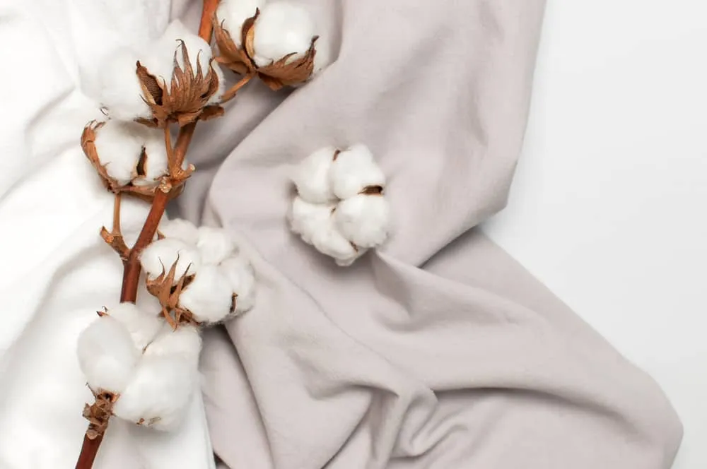 Vai Cotton Fabric