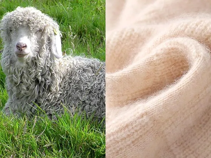 Vai Mohair 1