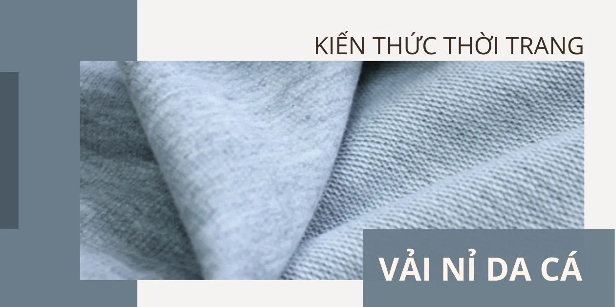 Vai Ni Da Ca 1