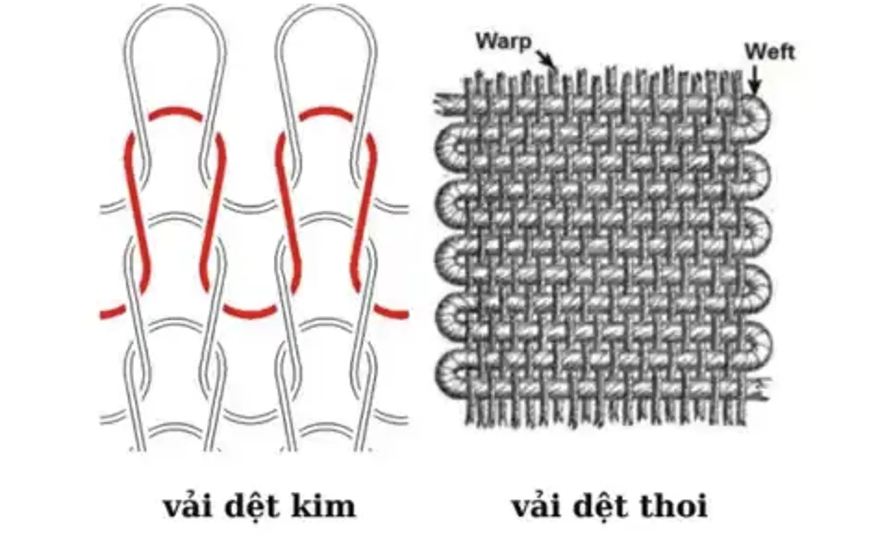 vai det kim va vai det thoi khac biet ra sao.webp