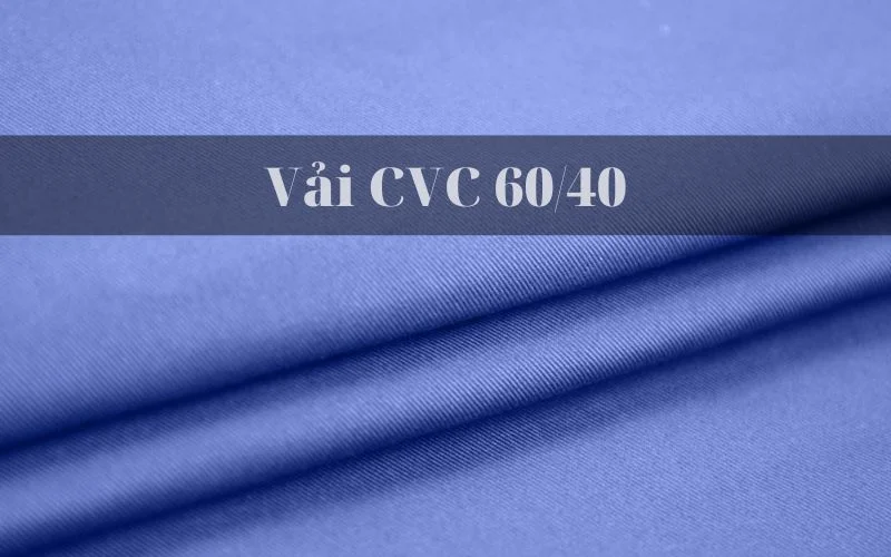 Vai CVC 60 40.jpg