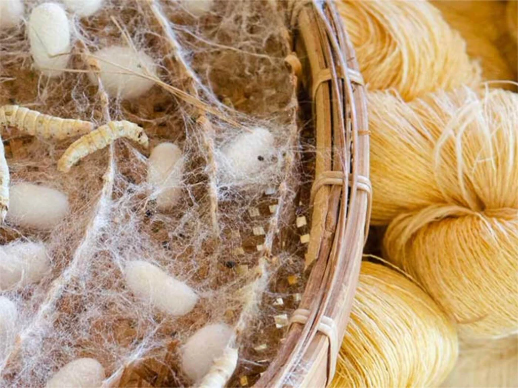 Silk Thread 2