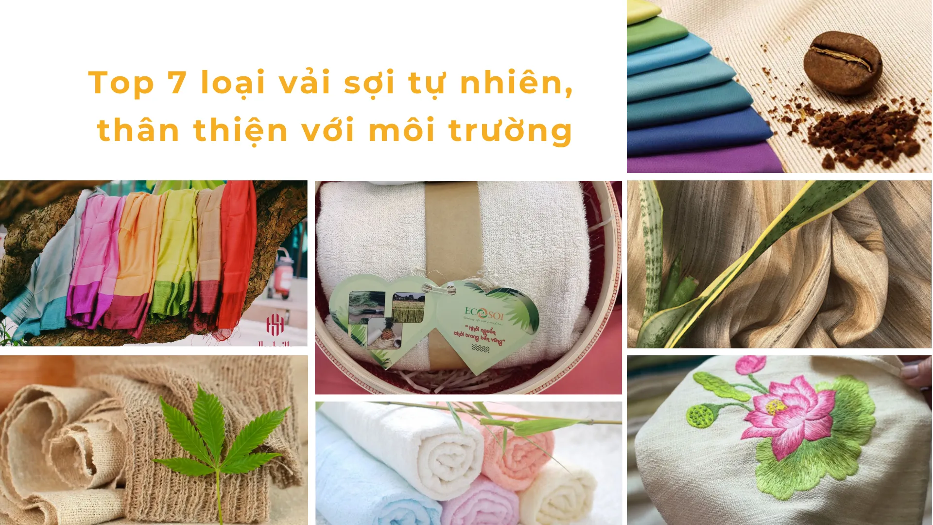 Vai soi tu nhien copy