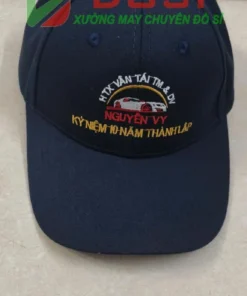 non htx van tai thuong mai dich vu nguyen Vy 2
